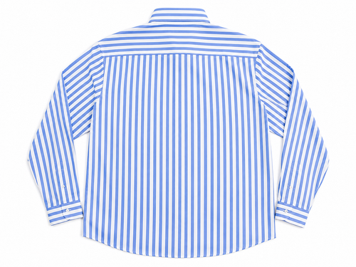 Dragonfly Oxford Shirt